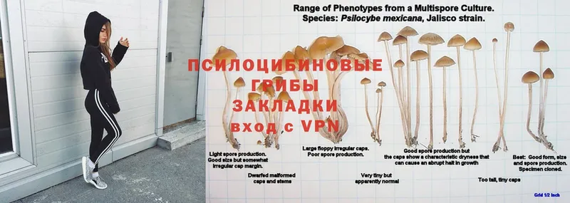 Метадон Севастополь