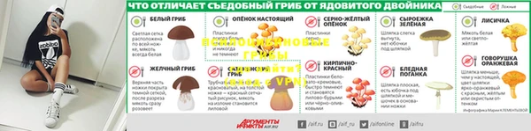 дурь Сосновка