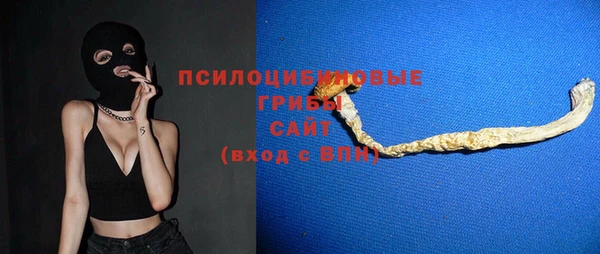 СК Ступино