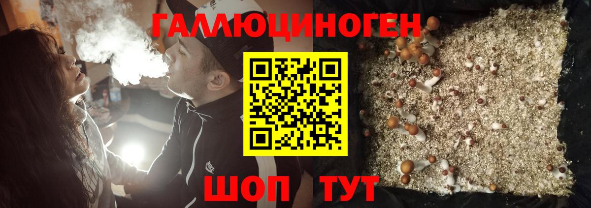Галлюциногенные грибы мицелий Севастополь