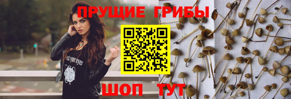 Галлюциногенные грибы MAGIC MUSHROOMS  Севастополь 