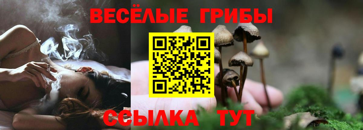 Севастополь  Псилоцибиновые грибы Cubensis  купить наркотик  Вход с VPN 